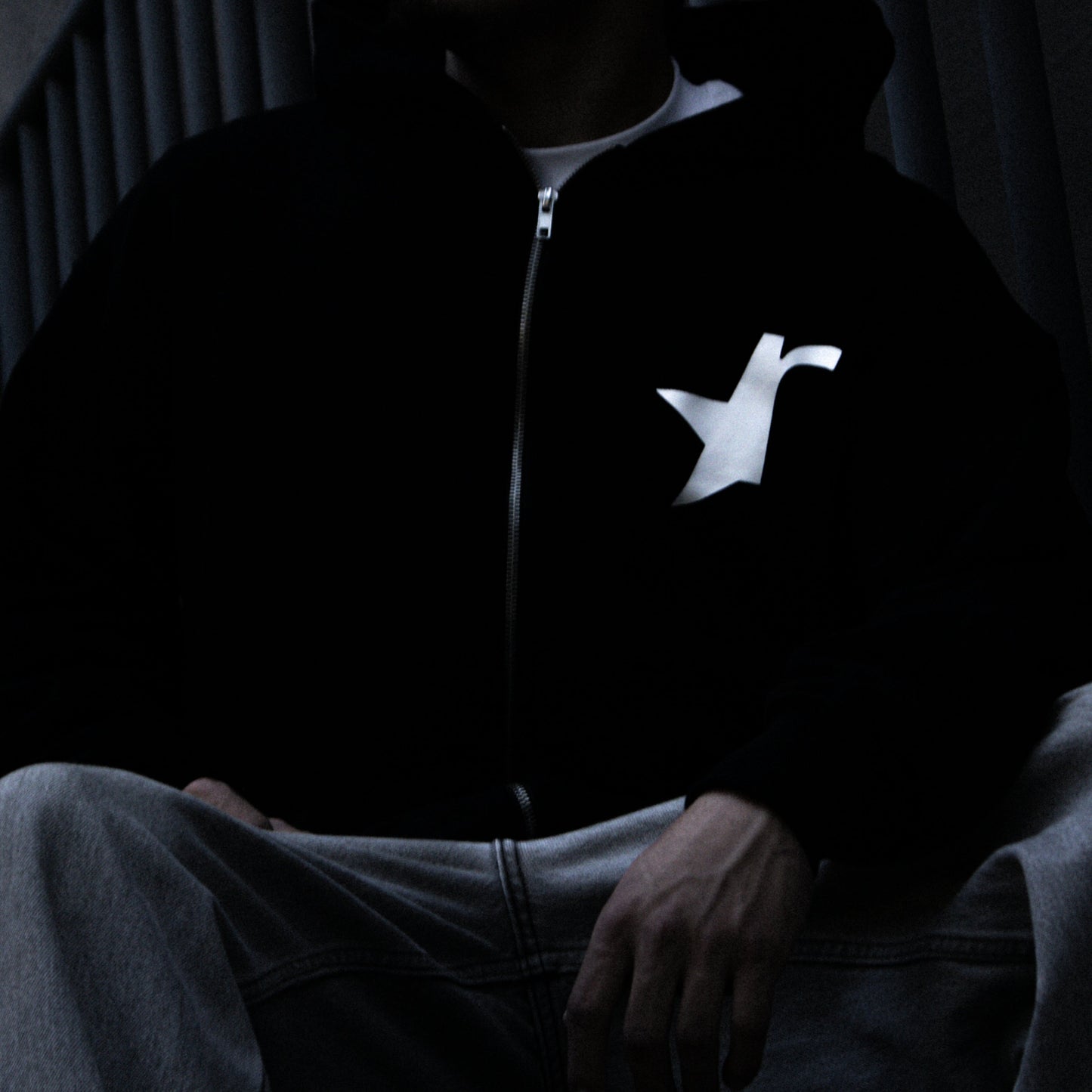 [LIMITED TIME] 350 GSM Heavyweight Hoodie